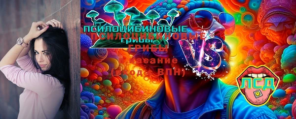 амфетамин Новодвинск