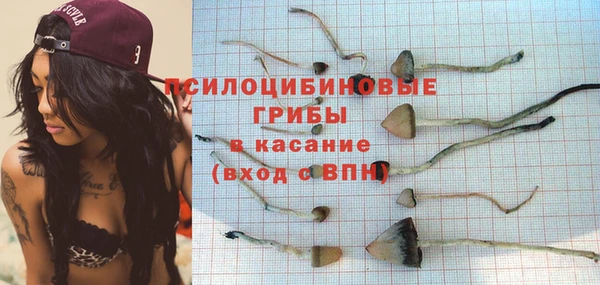 амфетамин Новодвинск