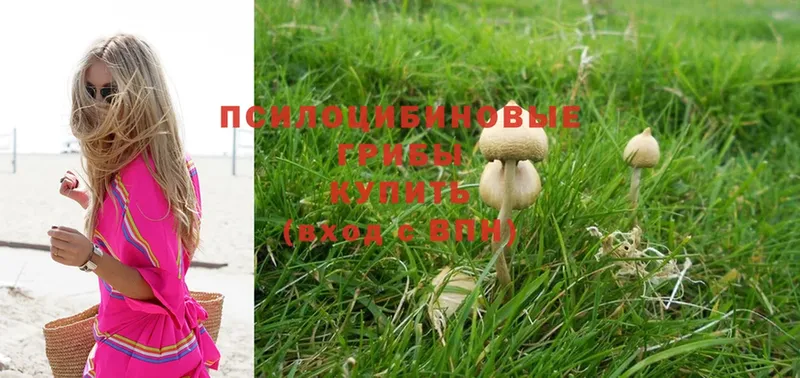 Галлюциногенные грибы Psilocybine cubensis  хочу наркоту  МЕГА рабочий сайт  Коряжма 