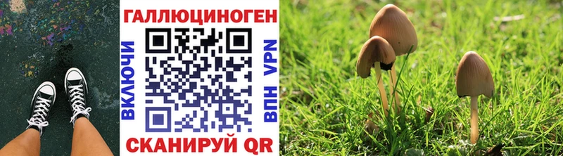 Галлюциногенные грибы мицелий  Коряжма 
