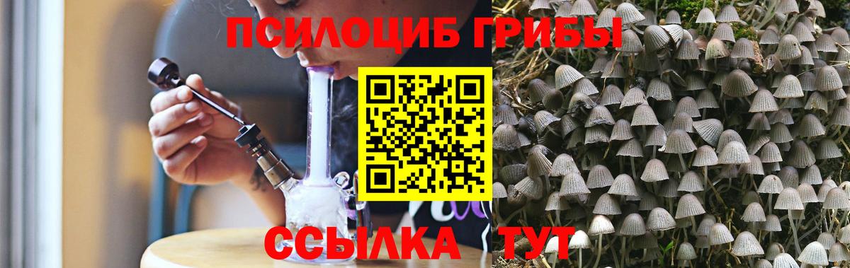 Коряжма  Галлюциногенные грибы мухоморы  Вход с VPN 