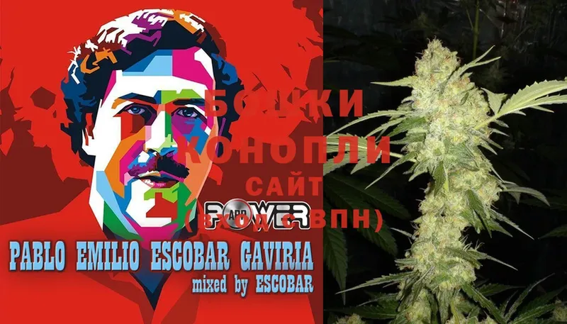 где продают наркотики  Коряжма  kraken маркетплейс  Бошки Шишки SATIVA & INDICA 